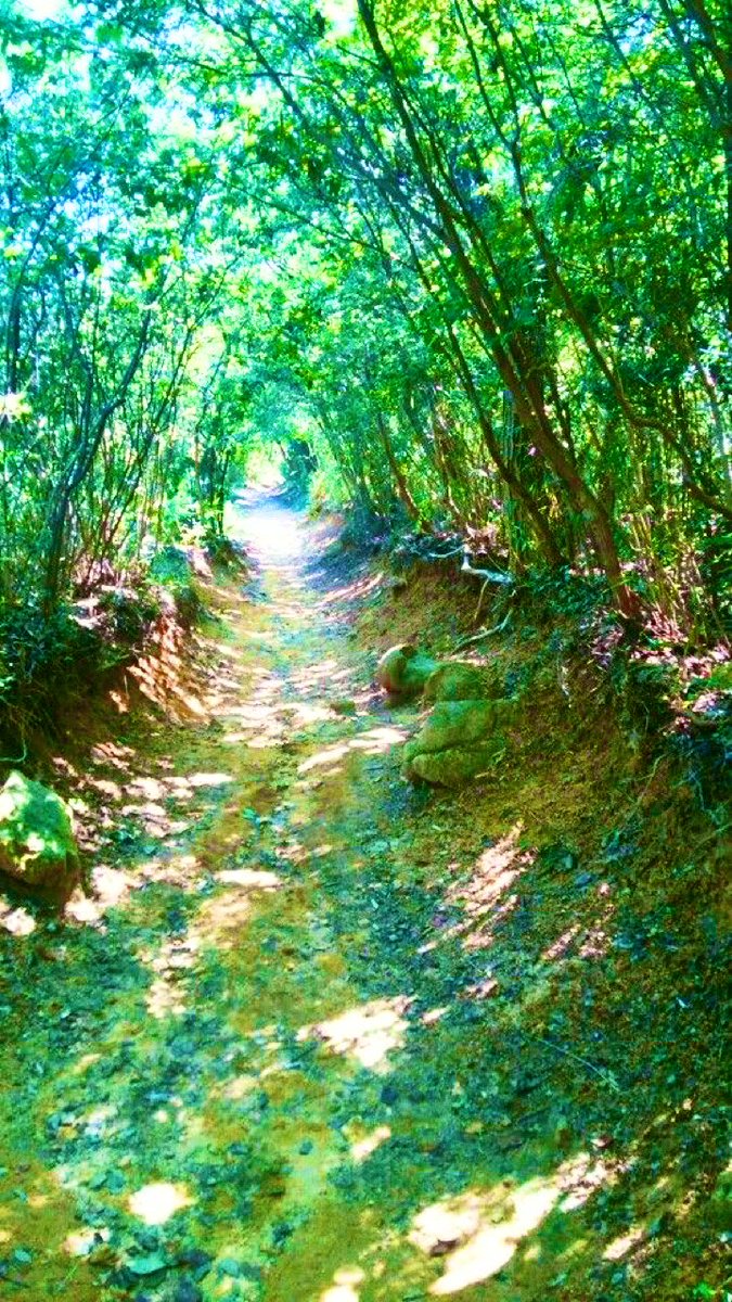BlackrRoselove1's tweet photo. #NaturalBeauty https://t.co/7dvuqhOaLx