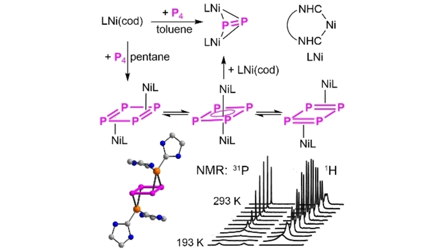 Haptotropism in a Nickel Complex with a Neutral, pi-Bridging cyclo-P4 Ligand Analogous to Cyclobutadiene (Tuononen) <a href="/uniofjyvaskyla/">University of Jyväskylä</a> <a href="/RolandRoesler/">Roland Roesler</a> <a href="/ChrisGendy/">Chris Gendy</a> #openaccess  onlinelibrary.wiley.com/doi/10.1002/an…