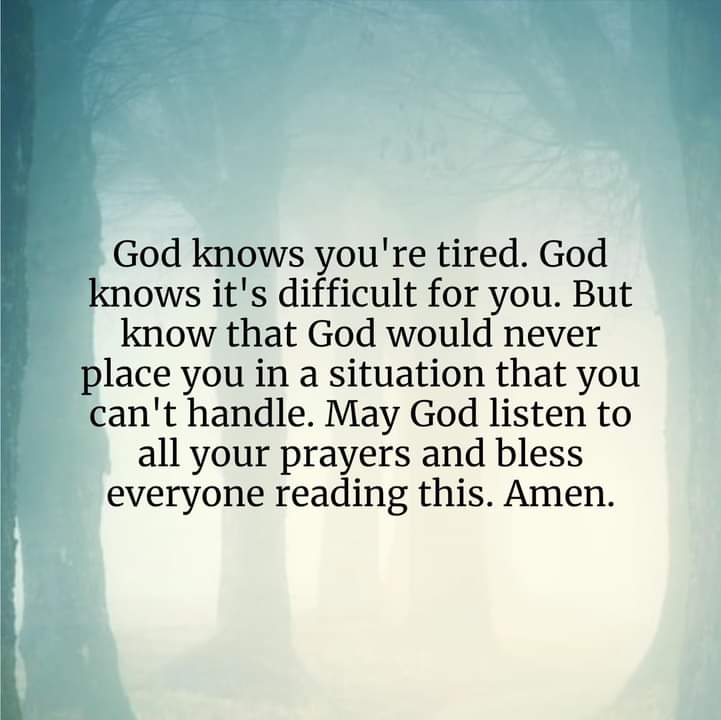 Rosebuds_19's tweet photo. https://t.co/VCm6vTLkzB