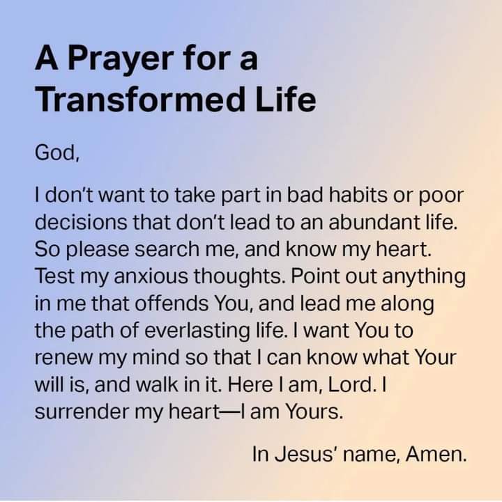Rosebuds_19's tweet photo. https://t.co/aWUoBmi3Ko