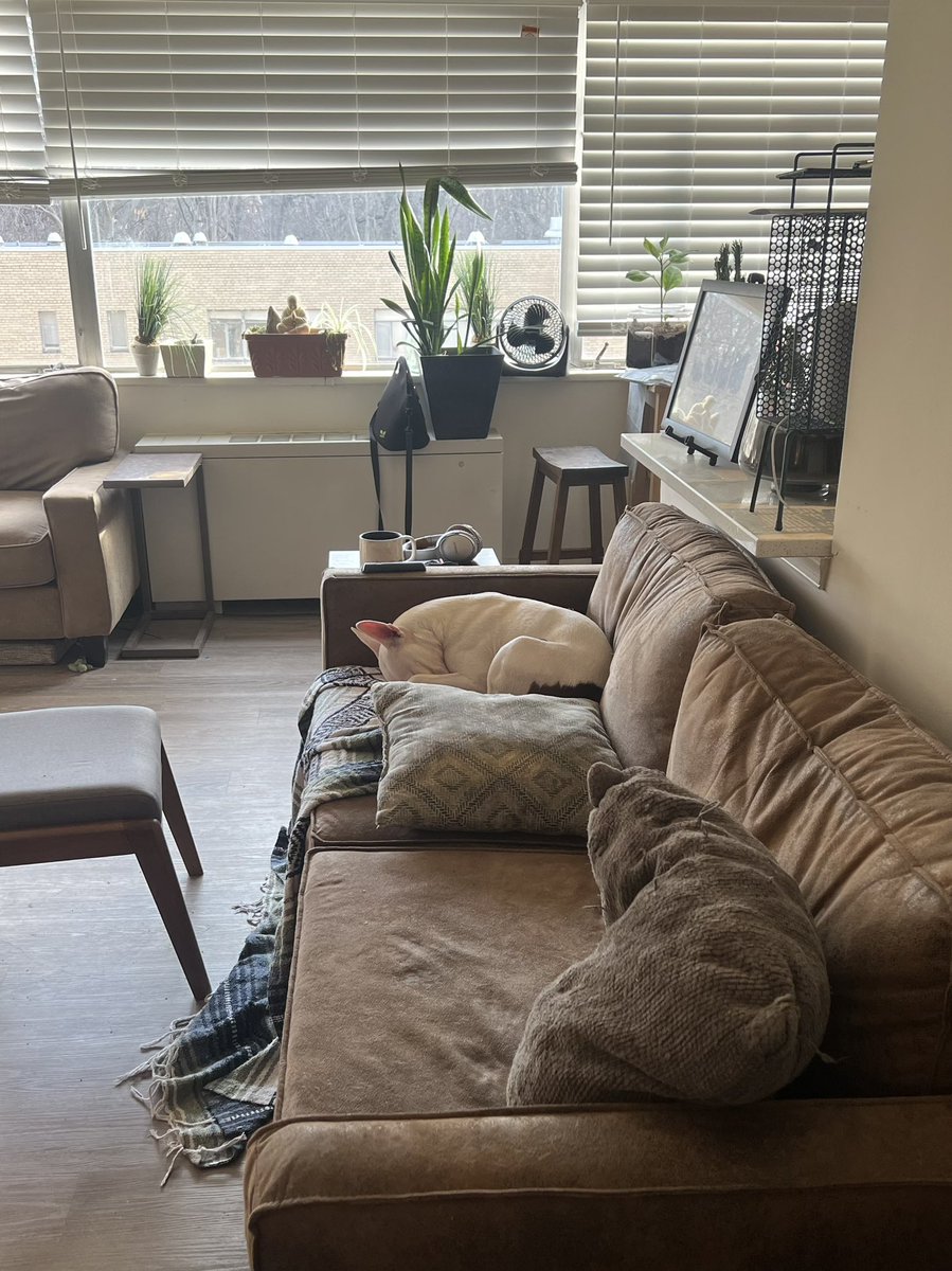 ShirleyIamMilk's tweet photo. Eltro zonked out listening To Eltro. It’ll do that. S’not Trip Hop but it’s very down tempo trancy. 😜 And he’s in my spot, no less.
#BullyTuck #Eltro #PastAndPresentFuturists https://t.co/kZr4uvyC0B