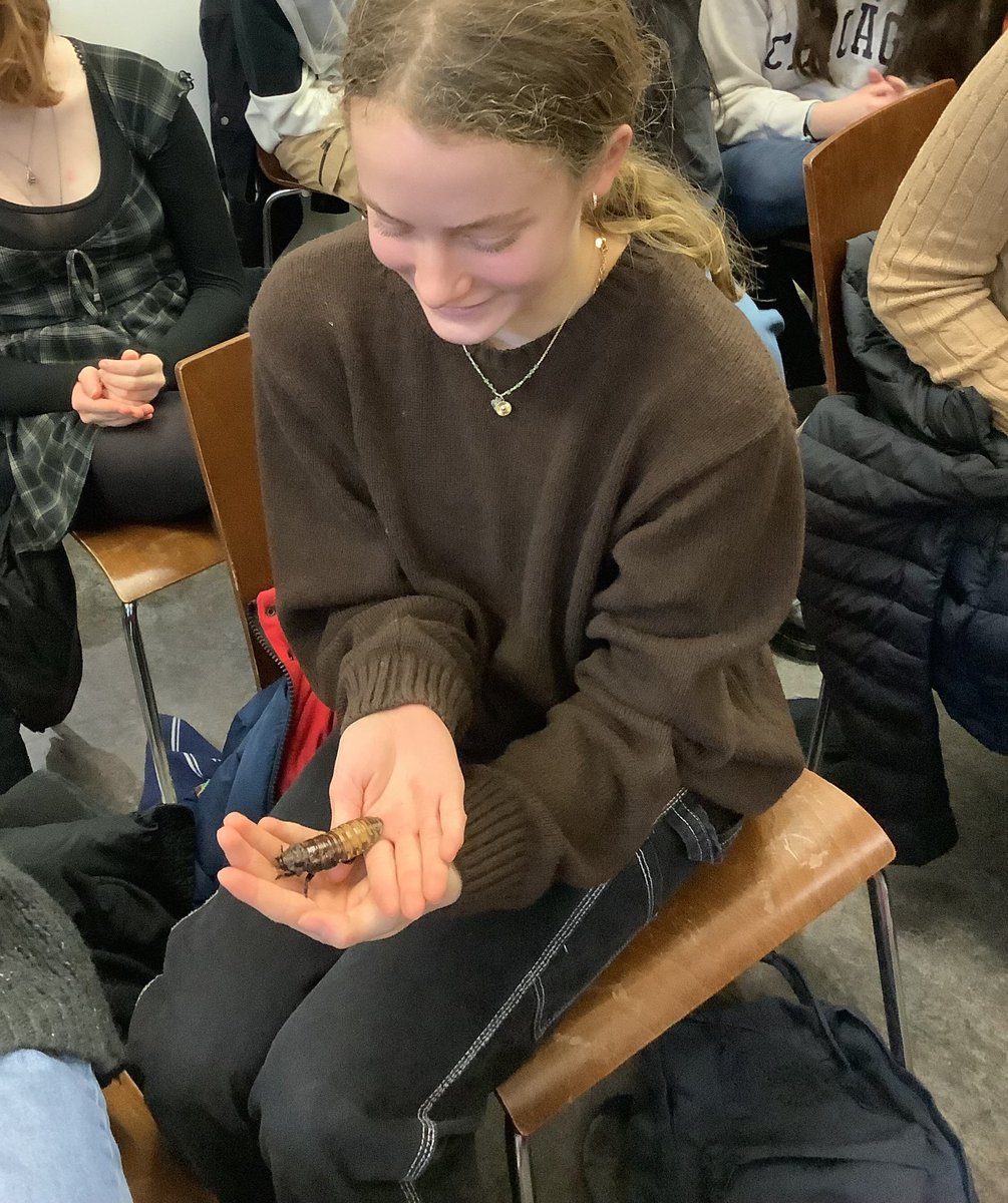 SHSOxbridge's tweet photo. @UniofOxford Y11 trip. Kate &amp; Miss Speers hold Madagascan hissing cockroaches in a fab lecture on evolution @morethanadodo (Oxford Natural History Museum). Mr McD hid. Illuminating day in a sunny, beautiful Oxford - so lovely to be back after 2 years of no trips @SurbitonHigh https://t.co/JXSAjM3ra4