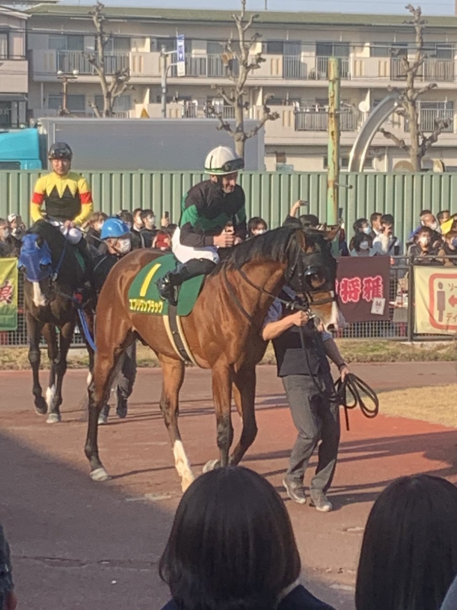tksk_tra's tweet photo. #名古屋大賞典 #名古屋競馬場 https://t.co/FjfxTlQi3U