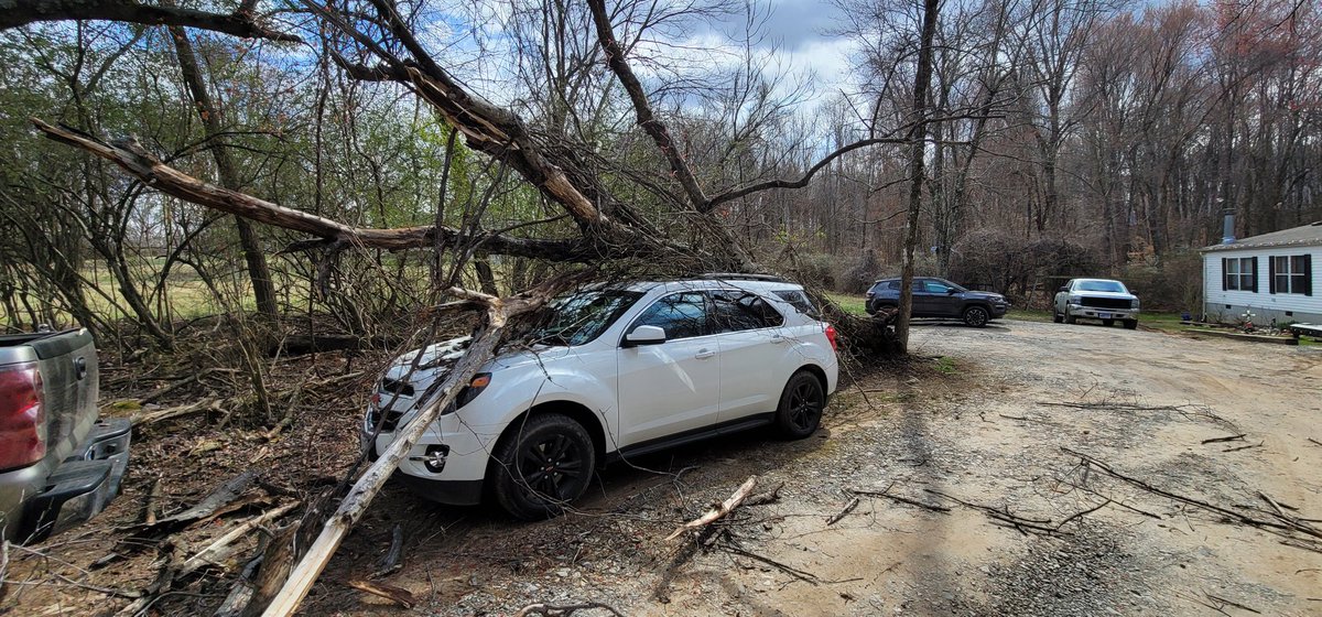 Wirenut434's tweet image. That moment when you've been paying @progressive thousands every year for insurance and the estimator says that WE have to move the tree and try and drive the car to HIM....

Anyone have suggestions for auto insurance carriers? I'm moving my personal and commercial policies ASAP