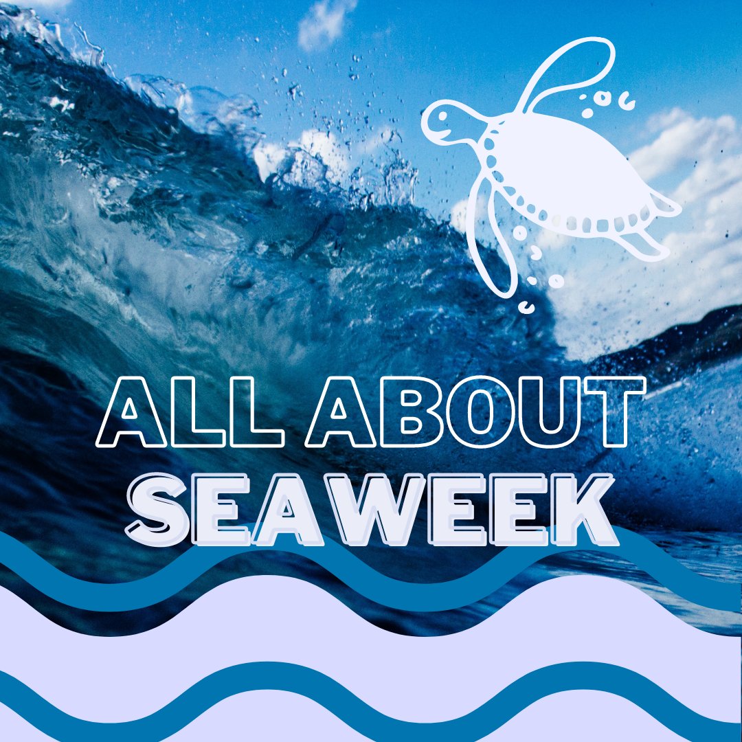 sea_week's tweet photo. So what is SeaWeek? SeaWeek Australia is an initiative of the @AusAssEnvEd . It's a national campaign that aims to raise awareness and encourage appreciation of the sea. Find out more at https://t.co/I7E2zWmSXC. https://t.co/X10Mx90gCD
