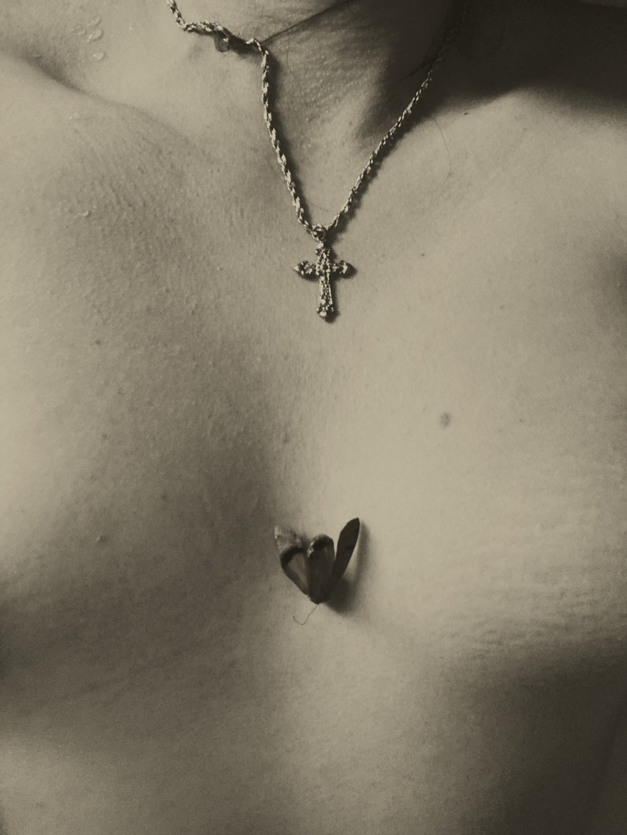 AnimaLunga™ tweet media