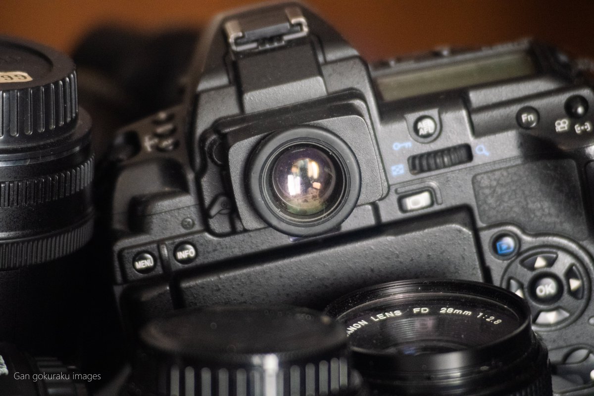 GStagephoto's tweet photo. 我が OLYMPUS E-5 
Magnifying Eyepieceを付けている。

EF135mm f2.8 SF と NFD 28ｍｍf2.8 も見えるがこれらは主にm4/3 で使っている。
NFDレンズとm4/3は相性が良い。

届いたばかりのPENTAX F 70-210mm &amp; K-1 で撮った。
うれしいから。

Gan, gokuraku images (極楽商会)

#pentax #olympuse5 https://t.co/JS0pfFYLYk
