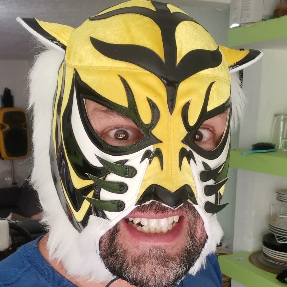 alemanllavero's tweet photo. Tigre Mask W https://t.co/EEErXlMEv9