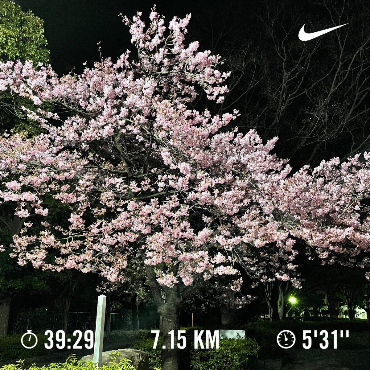 長田拓也 美容メーカーフォーフルール Feaufleurnagata Twitter 長田拓也 美容メーカーフォーフルール Feaufleurnagata Twitter