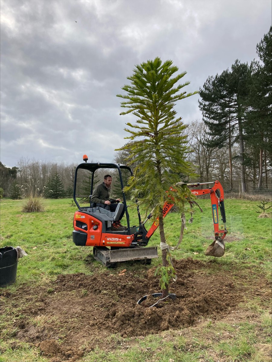 Markshall tweet media