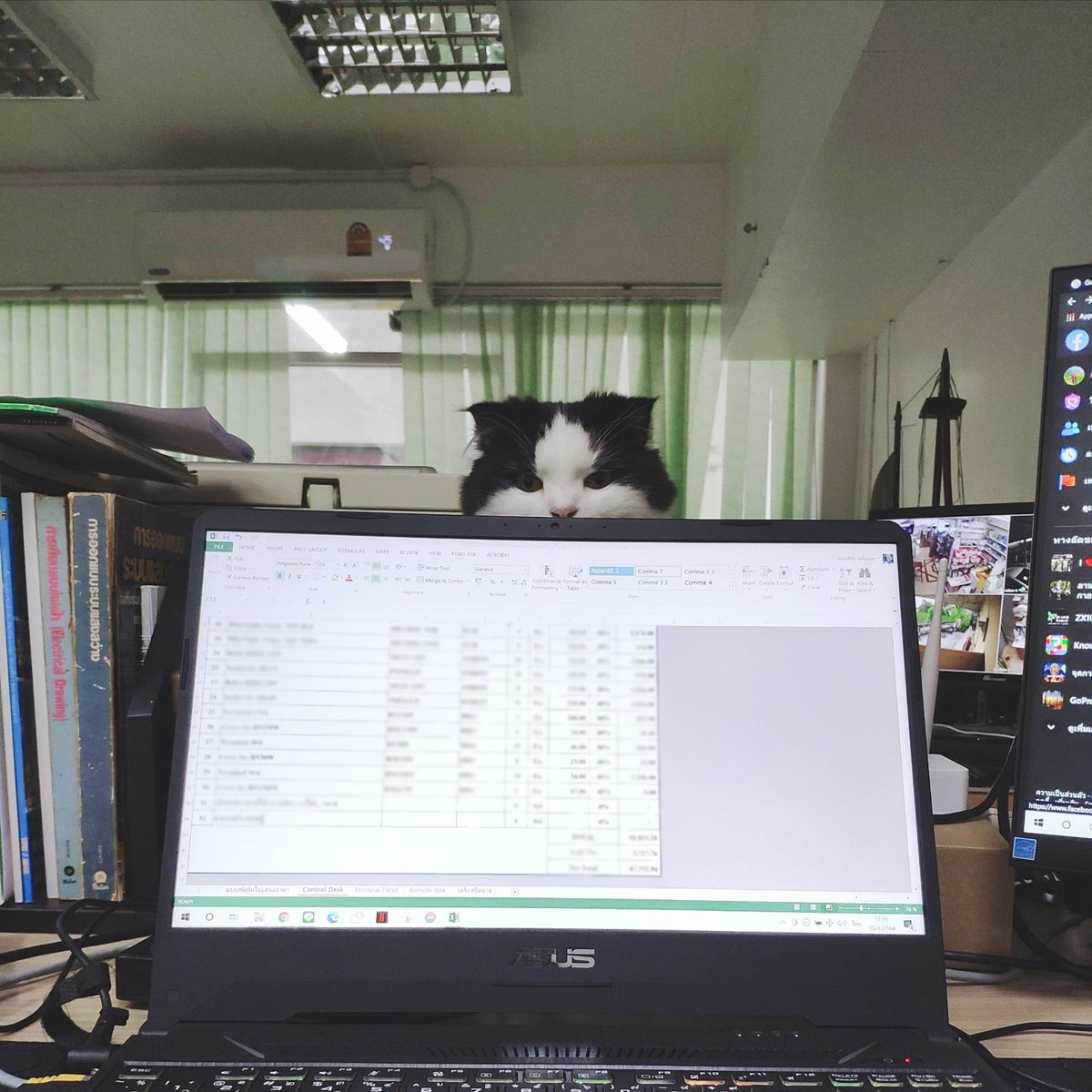 CatWorkers's tweet photo. https://t.co/3bMzwnrQrq