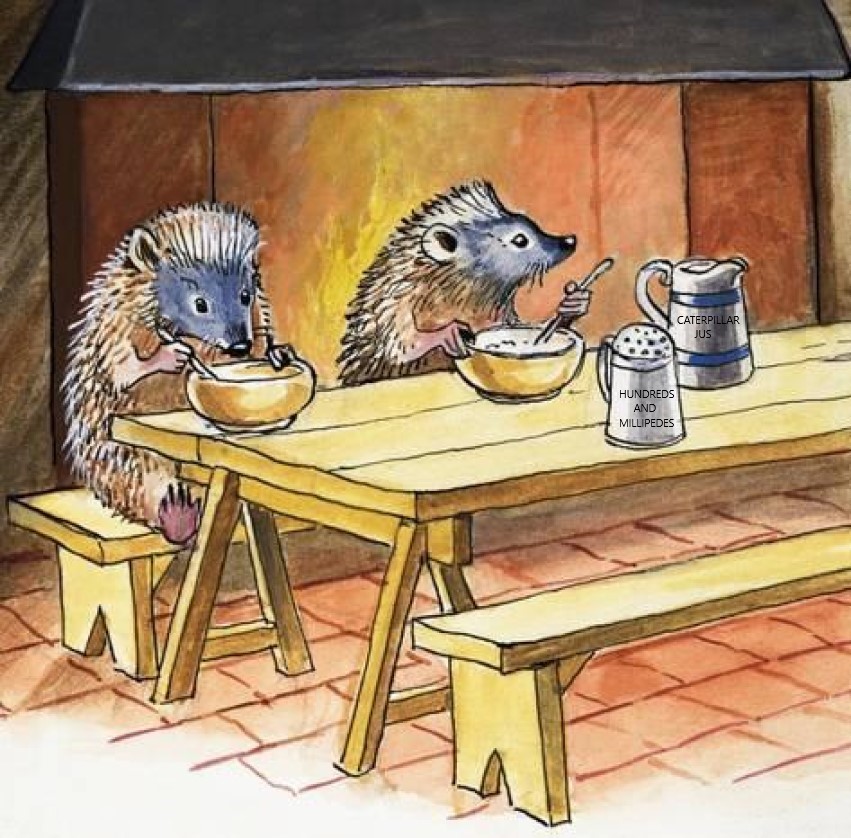 With mild weather forecast for most of the UK for the next week or so, please ensure your feeders have fresh food and water. Some early hibernators are returning, but also humans gardening and disturbing hedgehog nests is common during sunny spells, especially over the weekends.