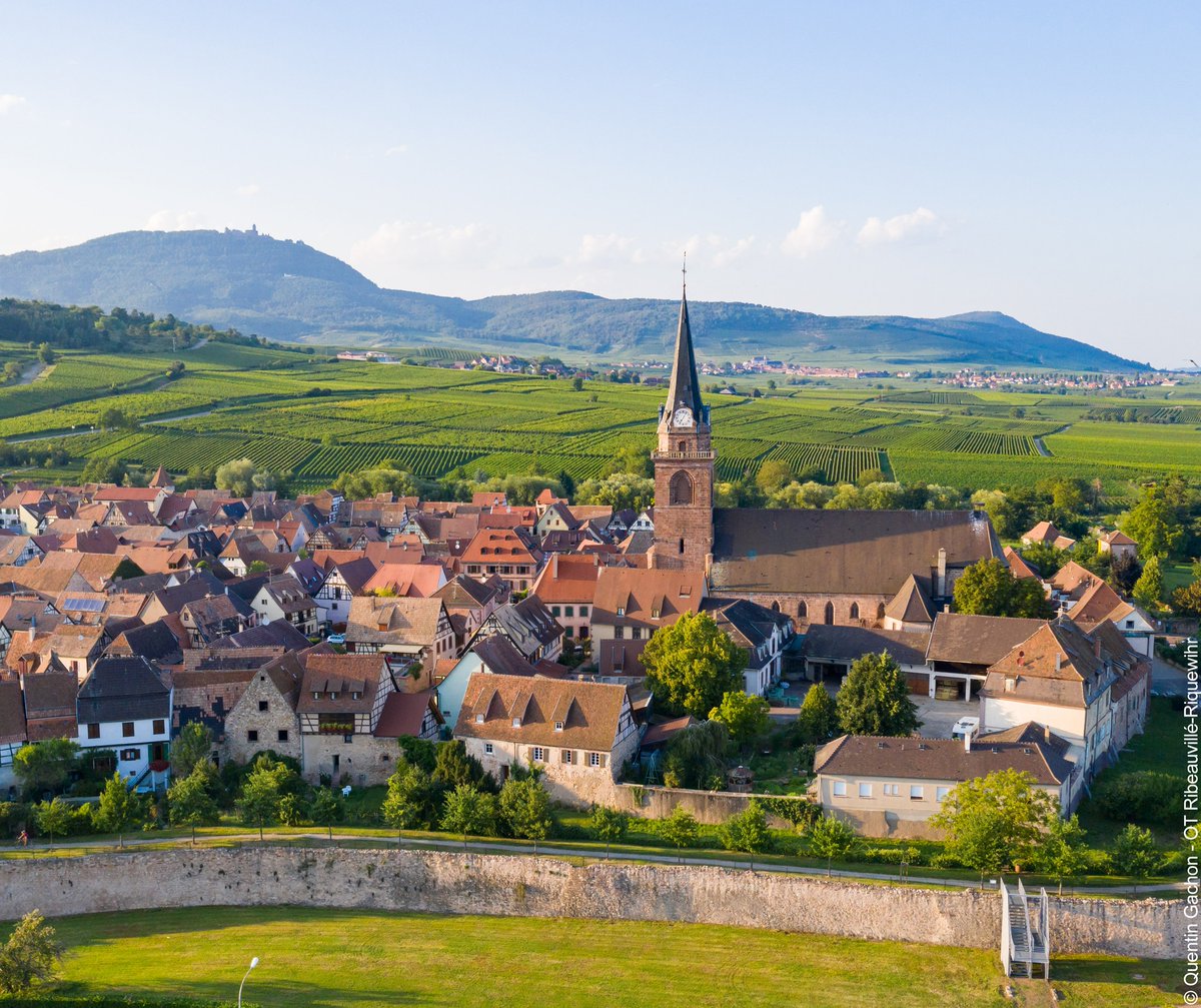 Alsace's tweet photo. Bergheim bientôt élu Village préféré des Français ? Soyons nombreux à cliquer pour faire gagner l’ALSACE !! 😍😍 https://t.co/Yz2xCsBIlH https://t.co/AD3KCitnGA