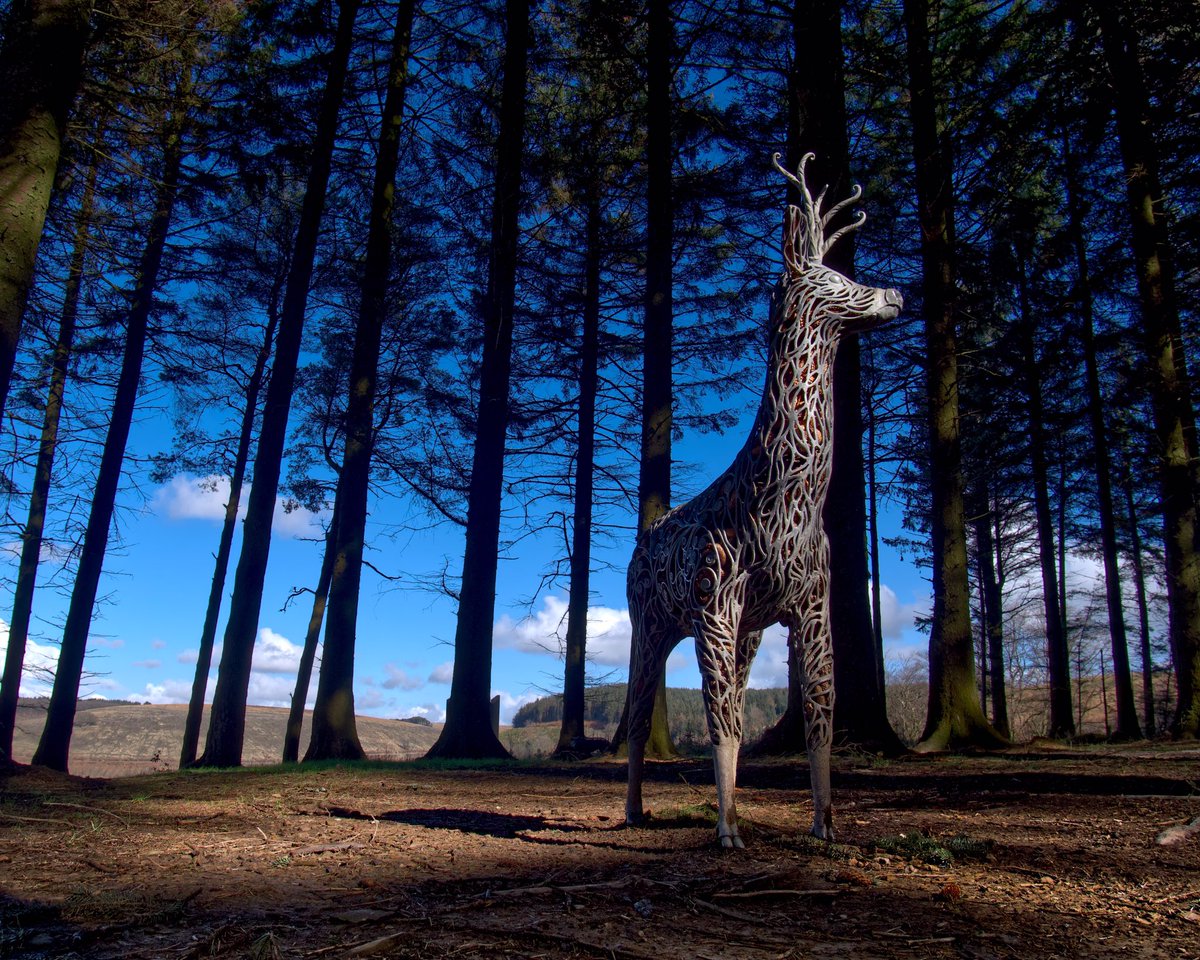 Mountain cycle from Cwmcarn and up to the Norman fort.  Deer statue in the forest, filled with pine cones.
#mountainbike #adventureswithfriends