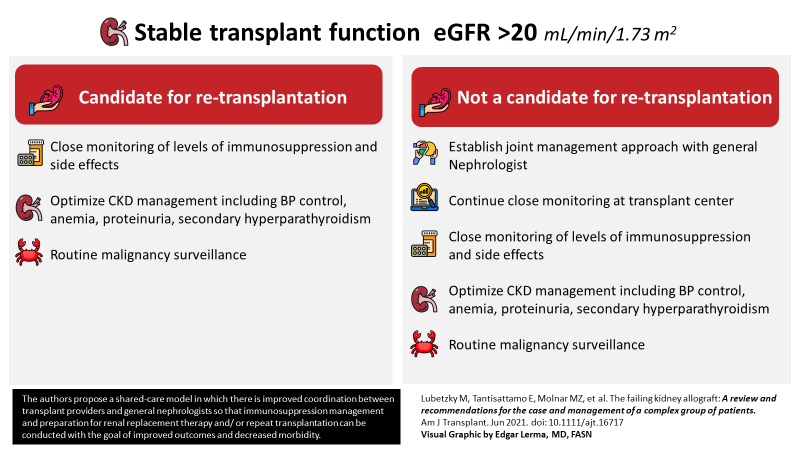 edgarvlermamd's tweet photo. The failing kidney allograft: A review and recommendations for the care and management of a complex group of patients ca. 2021 
#KDIGOChallengingAllograft 🎧 #Nephpearls 

👉 https://t.co/zmkHvW4Pu7 https://t.co/bHE84gp3cW