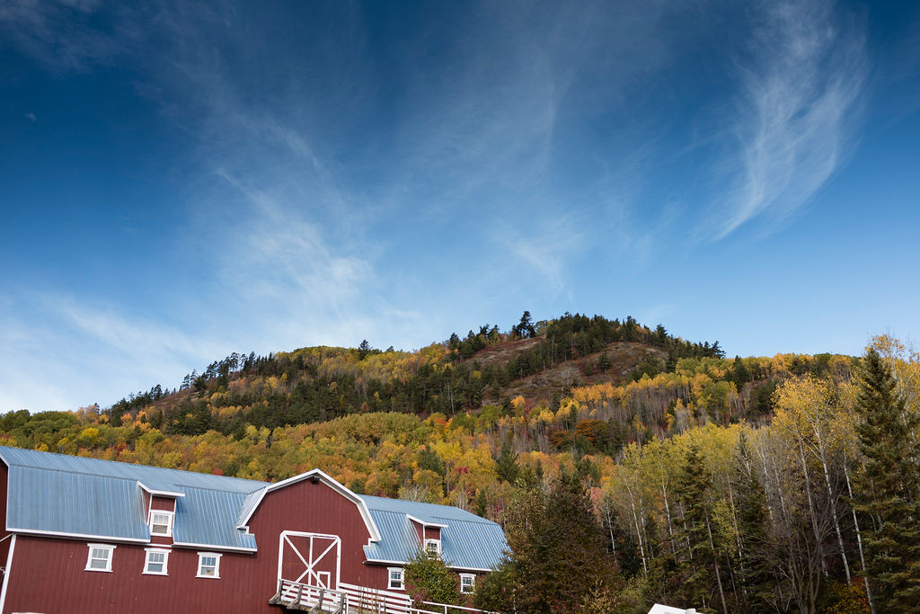 MRCCharlevoix tweet media