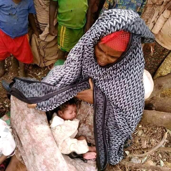 AdolaOda's tweet photo. Guji zone is highly affected by drought but not that much attention to them😭

We need attention
@USAIDEthiopia 
@PMEthiopia 
@WFP_Ethiopia 
@AJEnglish 
@VOAAfaanOromoo 
@BBCNews 
@RepMcClintock https://t.co/1Io9v9t0VM