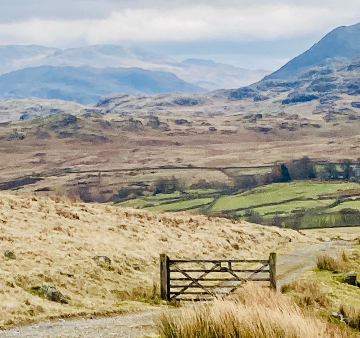 Tim_C_Ingram's tweet photo. Love Devoke Water. Not the prettiest or nicest underfoot but thereβs something unique and calming about this place. Guaranteed to get muddy and wet boots on this moorland circuit #lakedistrict #EnglishSetter #IrishSetter #DevokeWater https://t.co/931r2pmFi3