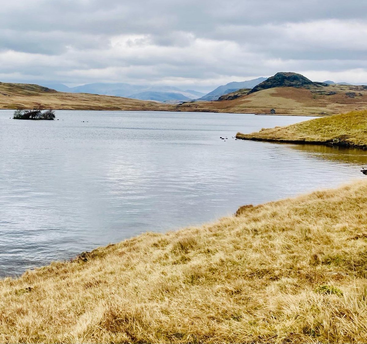 Tim_C_Ingram's tweet photo. Love Devoke Water. Not the prettiest or nicest underfoot but thereβs something unique and calming about this place. Guaranteed to get muddy and wet boots on this moorland circuit #lakedistrict #EnglishSetter #IrishSetter #DevokeWater https://t.co/931r2pmFi3