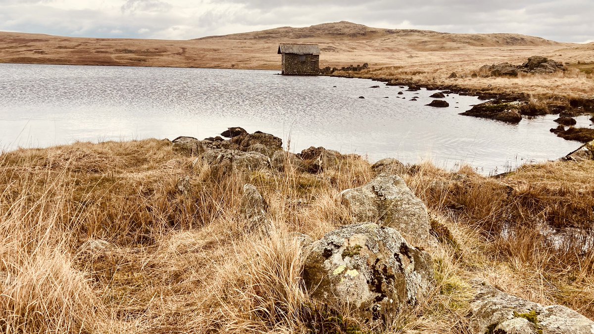 Tim_C_Ingram's tweet photo. Love Devoke Water. Not the prettiest or nicest underfoot but thereβs something unique and calming about this place. Guaranteed to get muddy and wet boots on this moorland circuit #lakedistrict #EnglishSetter #IrishSetter #DevokeWater https://t.co/931r2pmFi3