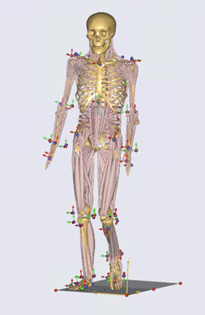 'Sensitivity of musculoskeletal models to variation in muscle architecture parameters' cup.org/3J5y8ow 
by Patricia Ann Kramer, Elen M. Feuerriegel, Steven G. Lautzenheiser and Adam D. Sylvester

#openaccess #journal #research #article