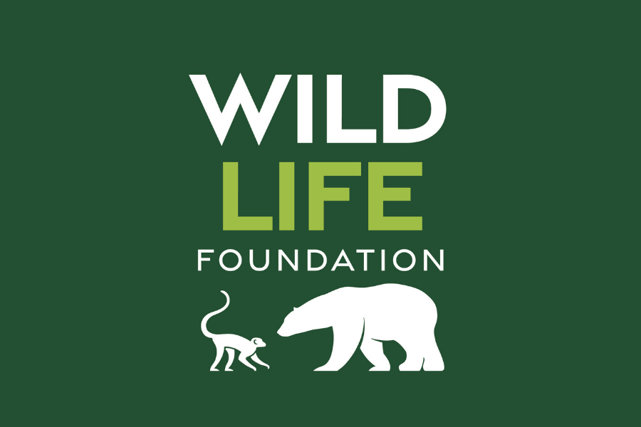 YWPFoundation tweet media
