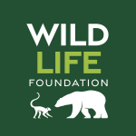 Photo by YWPFoundation (@YWPFoundation)