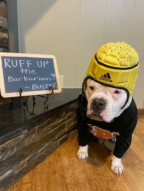 StPiusX's tweet photo. Veritas men and women do the right thing, at the right time, for the right reason. Last week, the SPX rugby team saved a stray dog who had been mistreated. As he continues to recover, Buster has become a huge supporter of the boys’ rugby matches, cheering them on. #WeAreVeritas https://t.co/WQkUUzNwR6