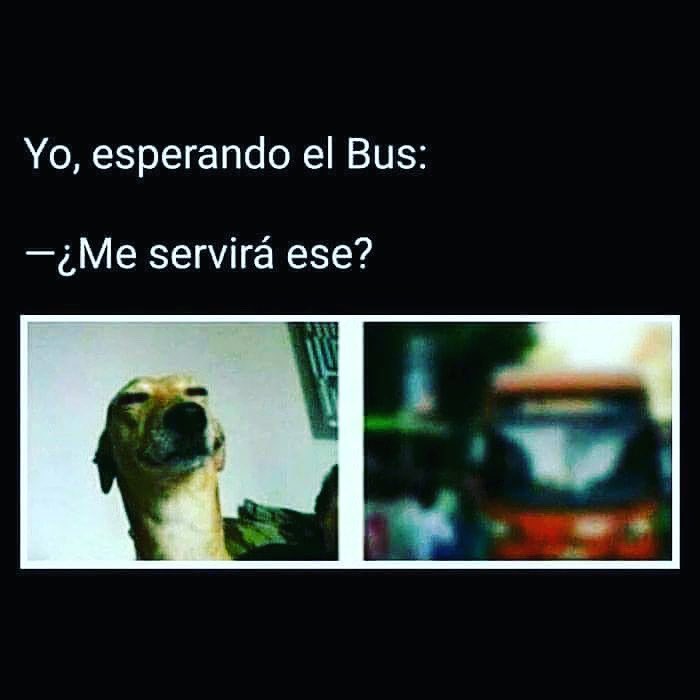 oftalmoavanzada's tweet photo. Te pasa seguido? Acude con nosotros! Ls mejor cirugia LASIK para dejar lo lentes 🤓. Citas 5522900607 https://t.co/ClKdmrce4v