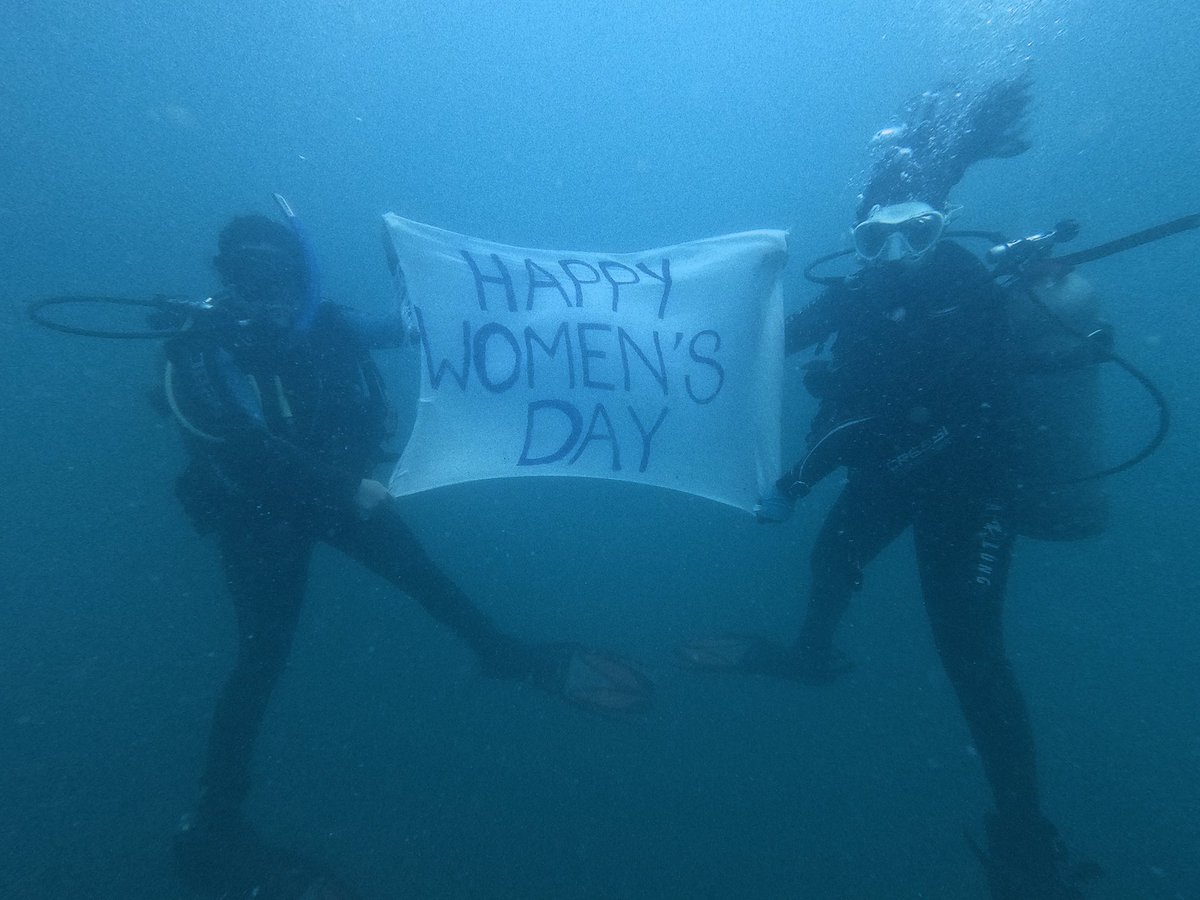 janhavideodhar's tweet photo. Women's Day Dive💙 https://t.co/TlJq5oA2KE