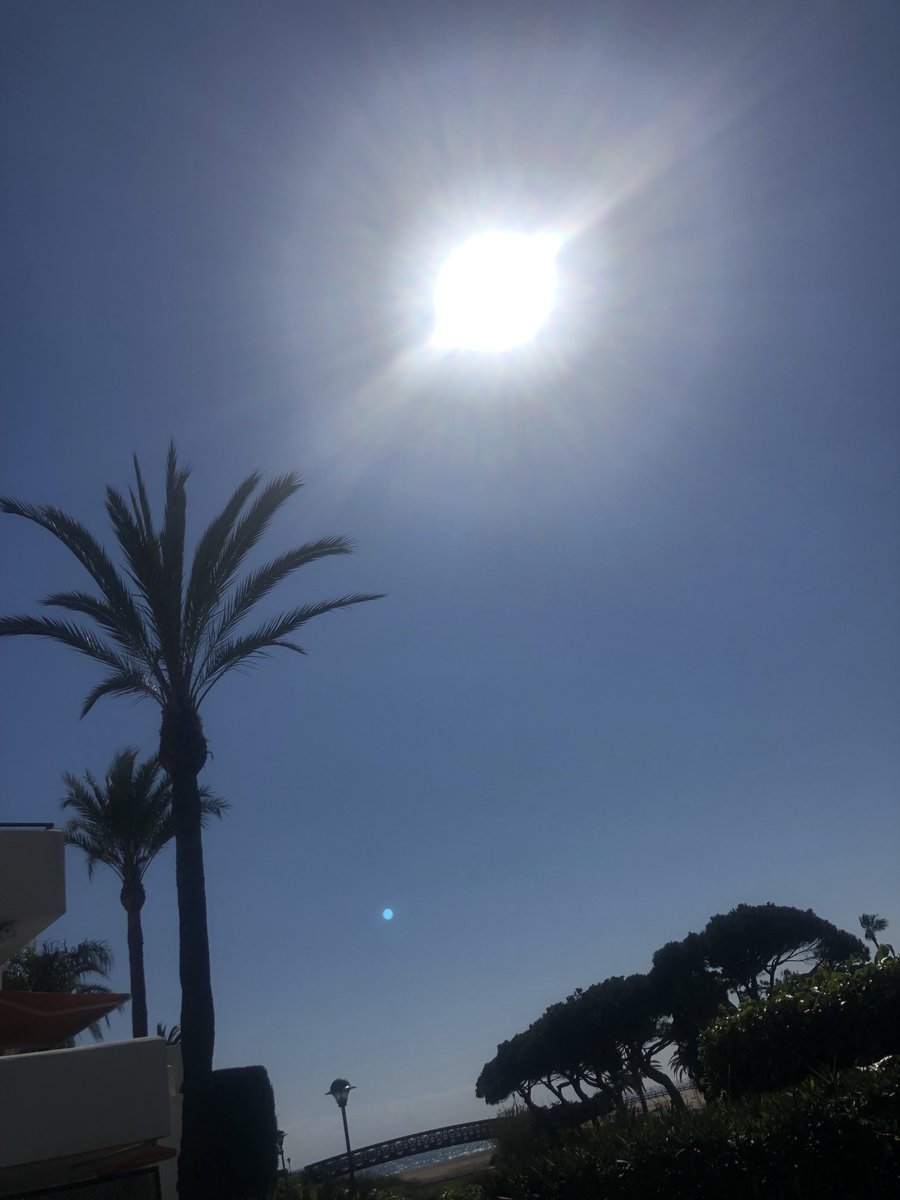 HowieSilver15's tweet photo. Im sober in the sun. It wasn’t always like this #grateful #ikeepcomingback #RecoveryPosse https://t.co/cmV47UDWIT