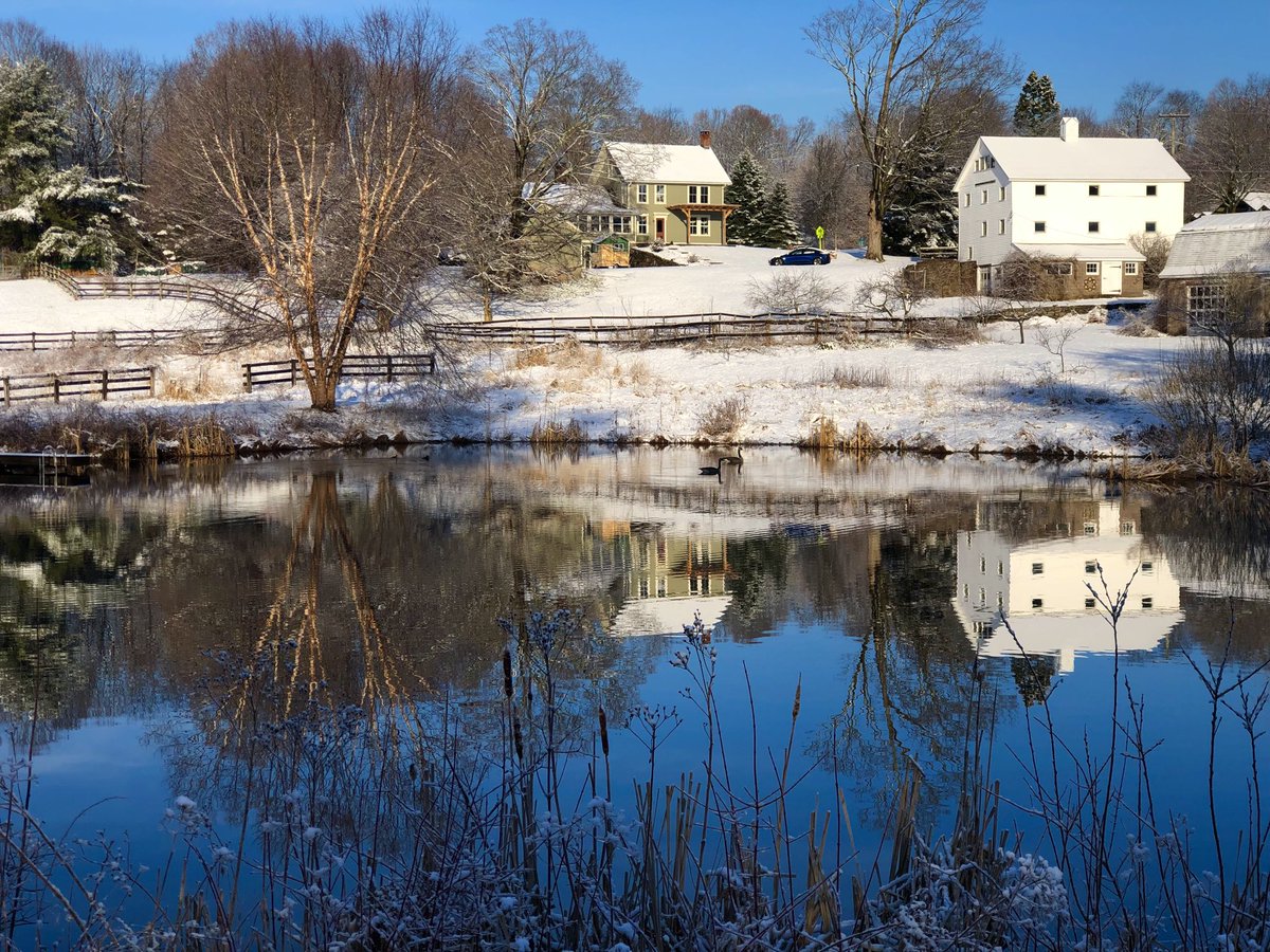petermarteka's tweet image. A Canada goose couple and hooded merganser couple doing their spring thing. #MarchReflectionChallenge #Middlefield