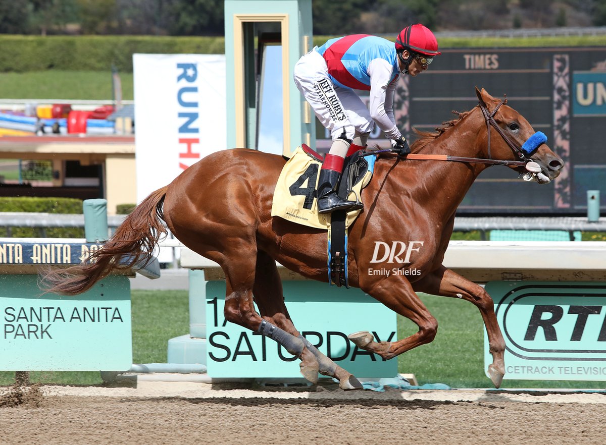 Breakout Beyers!

Taiba (<a href="/Three_Chimneys/">Three Chimneys Farm</a> Gun Runner): 103
Electability (<a href="/LanesEndFarms/">Lane's End</a> Quality Road): 87
Win the Day (<a href="/DarleyAmerica/">Darley in America</a> Midshipman): 83

Read: bit.ly/3KA8Kb0 via <a href="/DRFHersh/">Marcus Hersh</a> #DRF