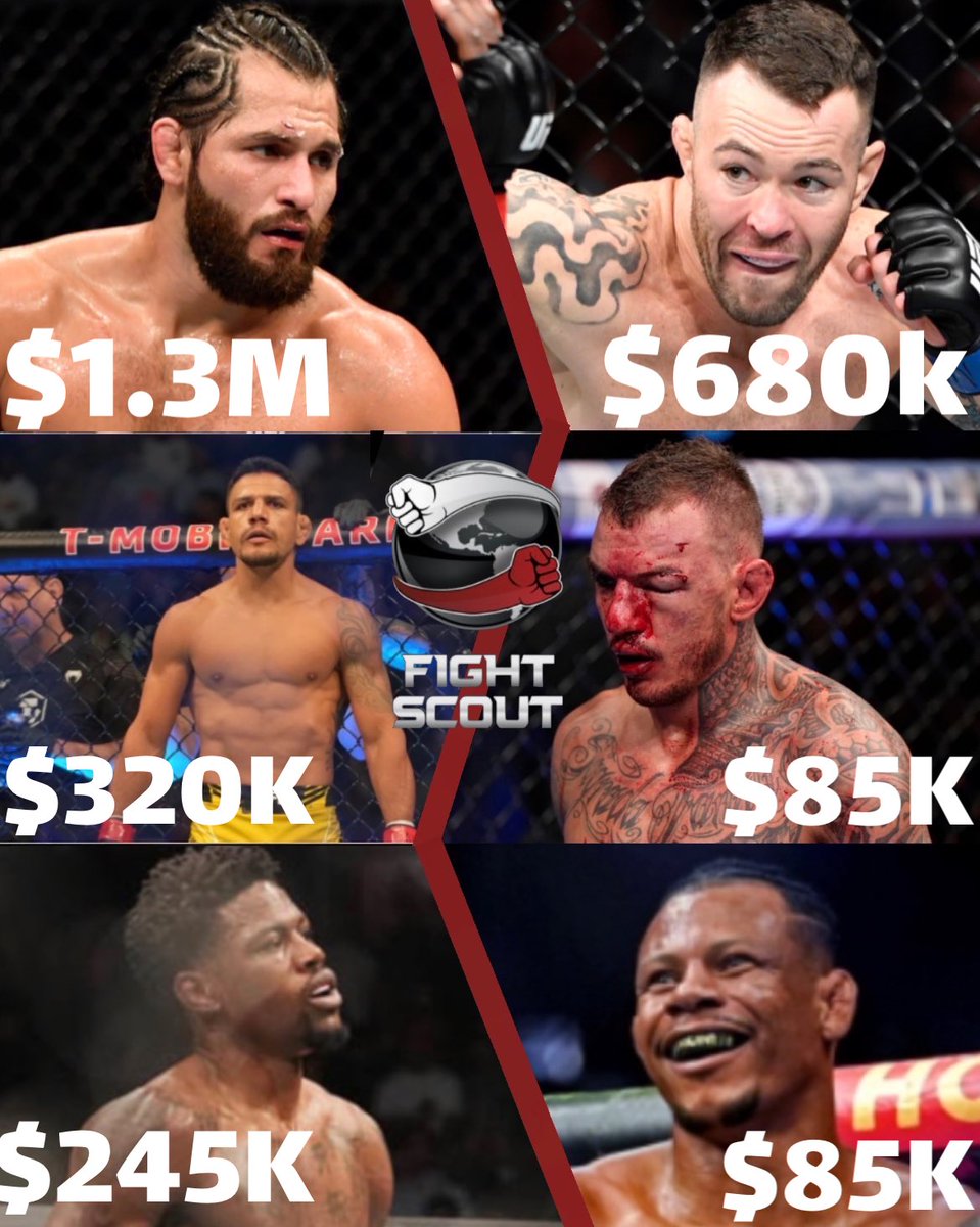 Fight Scout tweet media