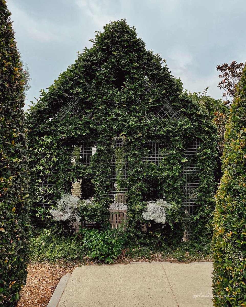 planteaofspace's tweet photo. Now this is what I call a “Greenhouse” 🏡💚🌿  

@TheHuntington #greenhouse #greenyourfeed #greenhome #walllesshouse #plants #houseplants #houseplantclub #houseofplantlovers #urbanjungle #indoorjungle #garden #explore #CaliforniaDreaming #home #decor https://t.co/nPYMcIAEnA