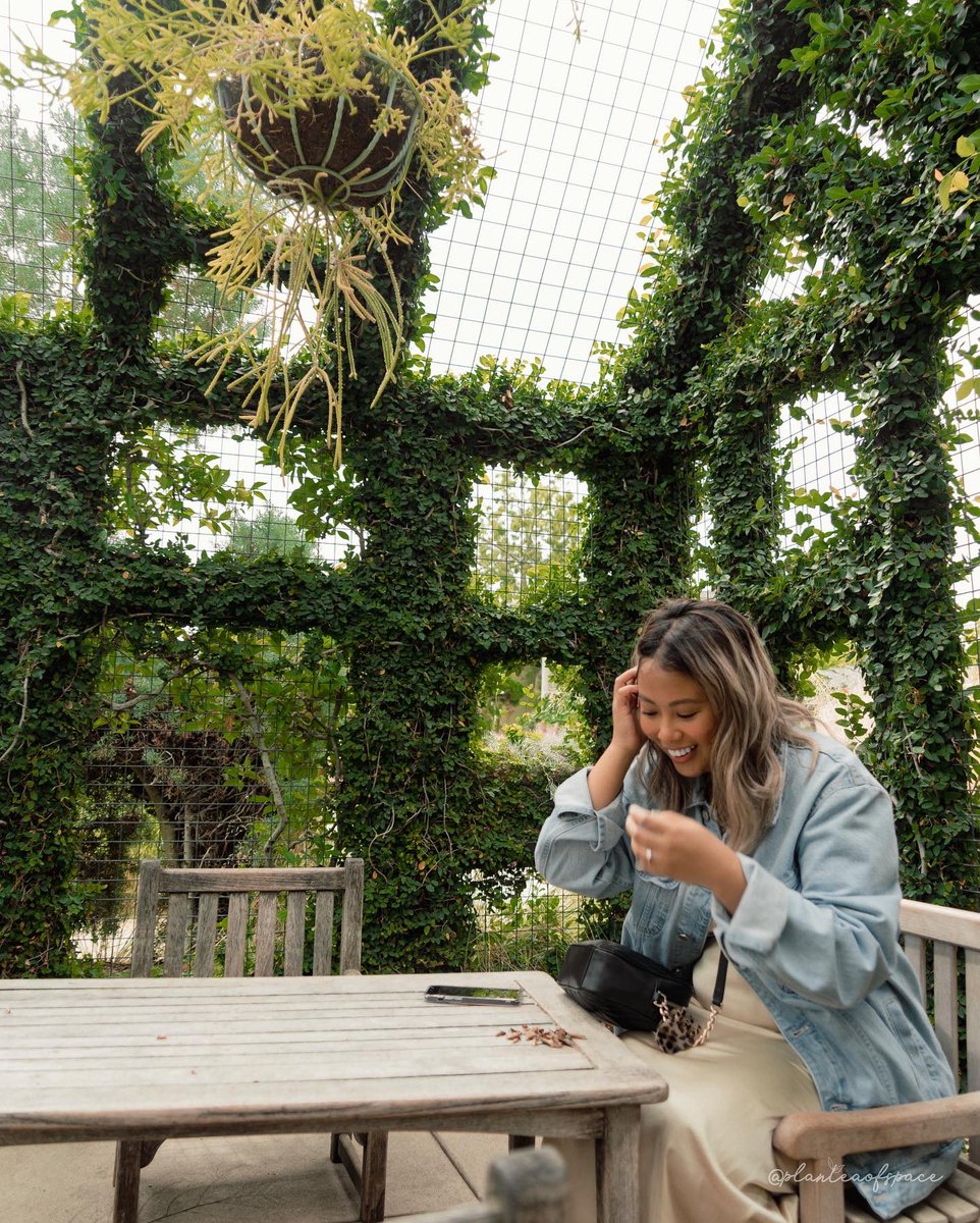 planteaofspace's tweet photo. Now this is what I call a “Greenhouse” 🏡💚🌿  

@TheHuntington #greenhouse #greenyourfeed #greenhome #walllesshouse #plants #houseplants #houseplantclub #houseofplantlovers #urbanjungle #indoorjungle #garden #explore #CaliforniaDreaming #home #decor https://t.co/nPYMcIAEnA