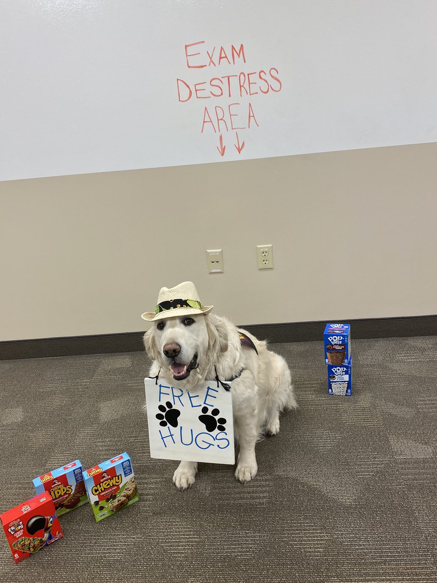 therapy_jake's tweet photo. How Therapy Dog Jake helps on exam day! @guvmson @GannonU #therapydog #DogsofTwittter #dogswithjobs #friendswithfur #nursing #nursingschool #collegedog #gotyourback #stressrelief https://t.co/dJtORag7oV