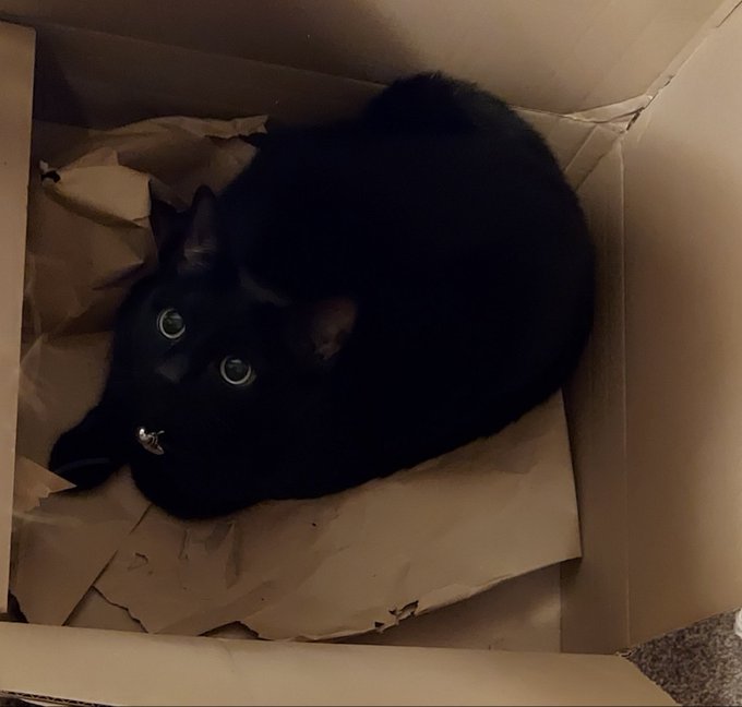 The best kitty 😺 https://t.co/YC4z9Or1ho<a href="/tag/pedicure"class="tags"><span>#pedicure</span></a><a href="/tag/feetpictures"class="tags"><span>#feetpictures</span></a><a href="/tag/onlyfansgirl"class="tags"><span>#onlyfansgirl</span></a><a href="/tag/feetfi"class="tags"><span>#feetfi</span></a>