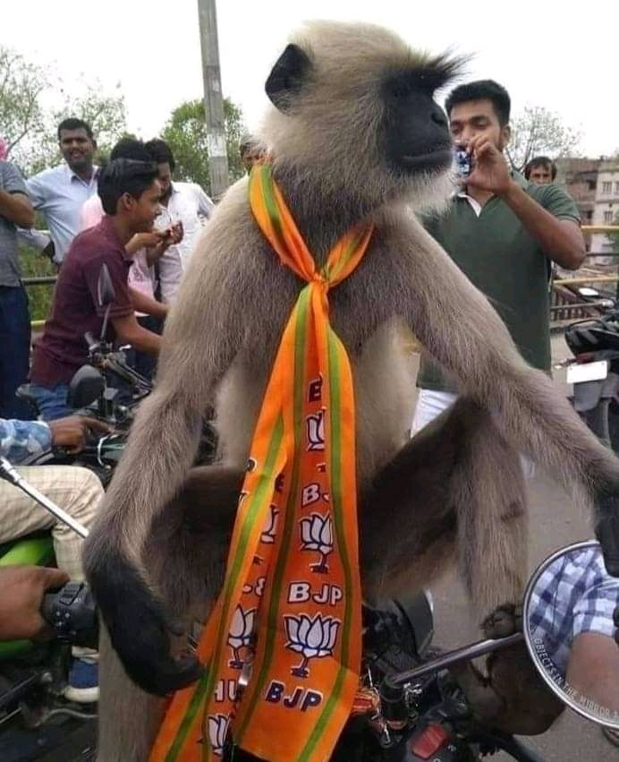 Mani Menon 🙏🙏🙏🚩🚩🚩 (@manimenon10) on Twitter photo 