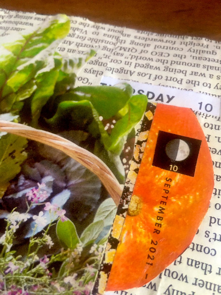 davidaruth4u's tweet photo. ๐ฅฌ๐ท๐๐๐ง๐ชด๐ง
๐ฅฌ๐ท๐
#GoodDay2all to all the gardeners around the world ๐ as you sow seeds for #tomatoes ๐
and fresh #salad ๐ฅ donโt forget to plant seeds toward #kindness
@4RRChronicle ๐ฌ๐ง
#collage #art for a gardener anticipating a harvest of ever seasonal #LOVE https://t.co/jqTzX46xn6