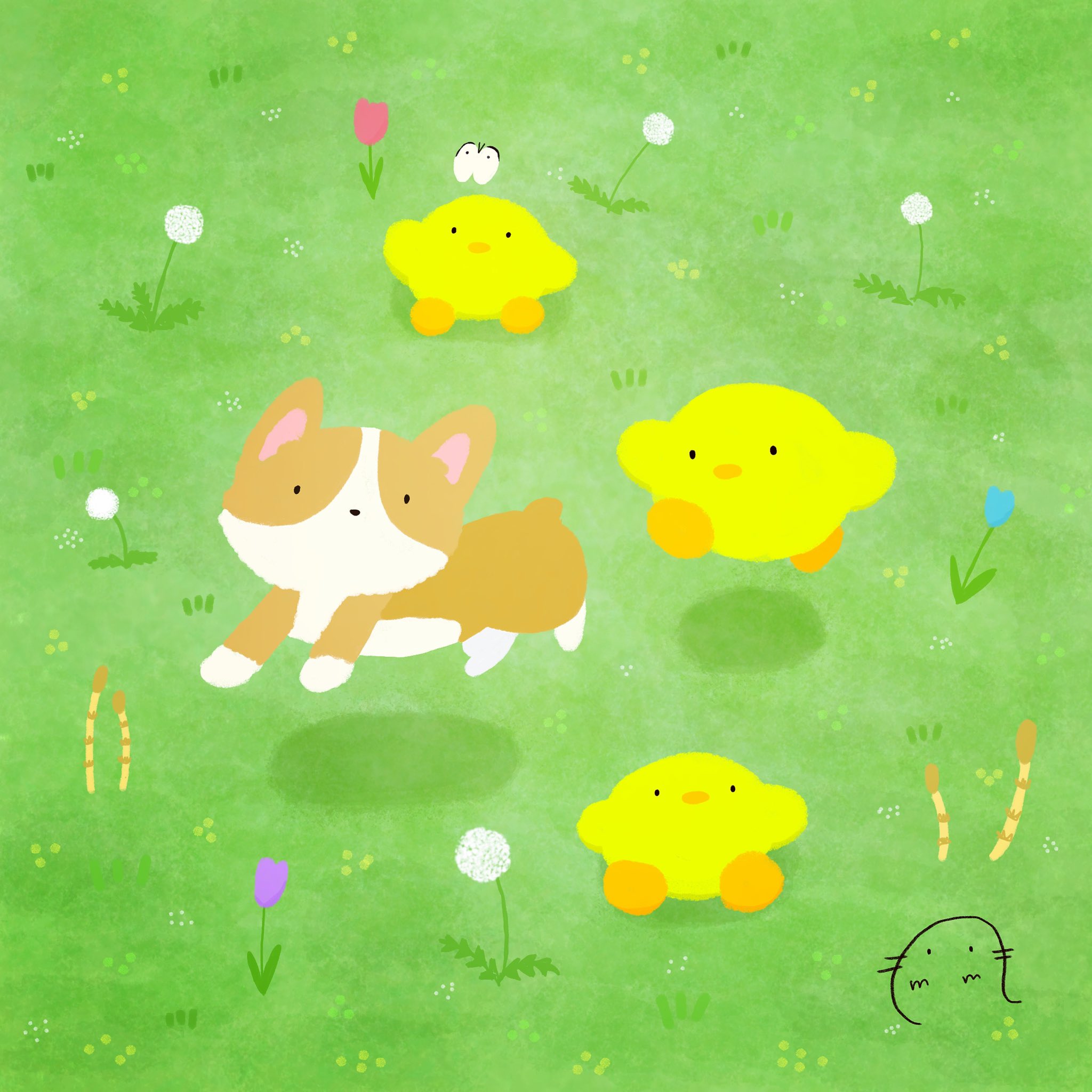 もも C Momostudio Twitter