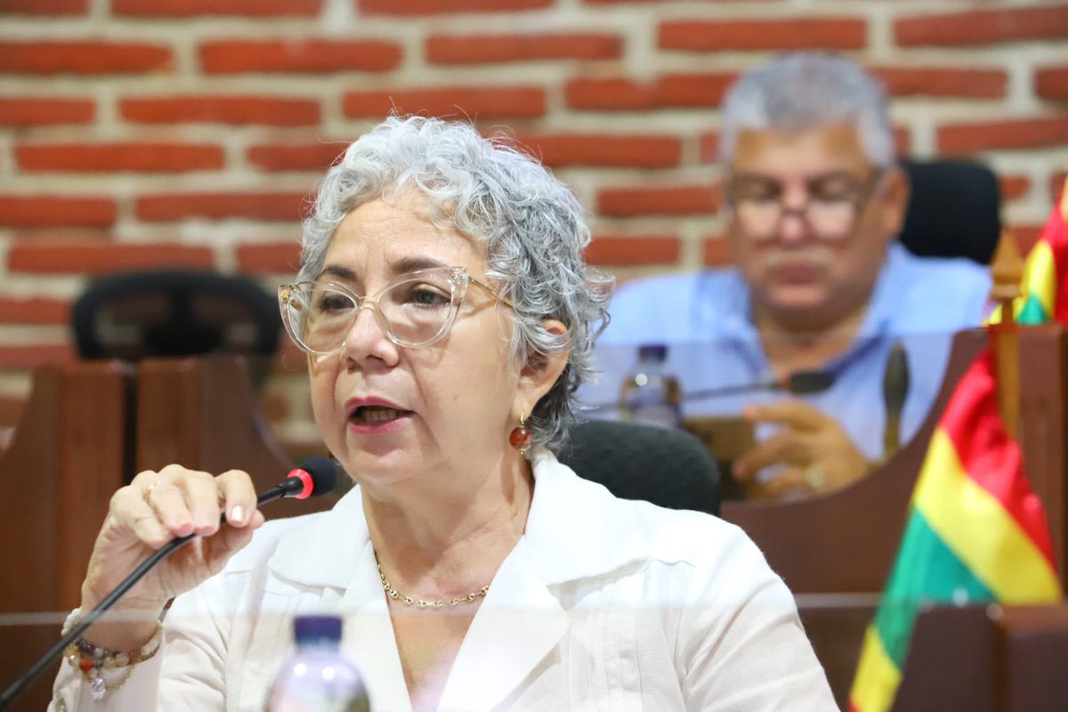 seceducacionctg's tweet photo. #AEstaHora @Olgaelvira secretaria de Educación Distrital rinde cuentas en el @ConcejoCTG 2021-2022. https://t.co/gVaonFkwxQ
