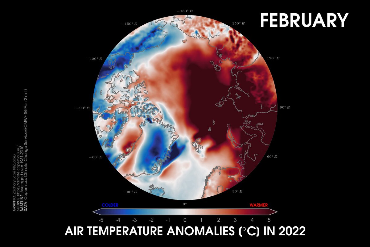 Temperature anomalies greater than 5°C above average were observed across a large portion of the #Arctic Circle in February... 🔥

[Data from <a href="/CopernicusECMWF/">Copernicus ECMWF</a> ERA5 relative to 1981-2010]