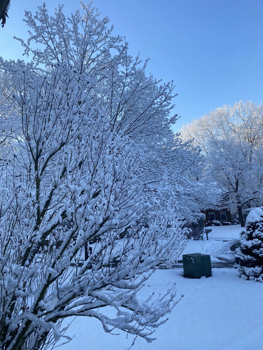 MrsKarlaCruz's tweet photo. Beautiful morning! It looks like a winter wonderland. #Windsor @bobmaxon @ryanhanrahan https://t.co/VFUDeY3gRs