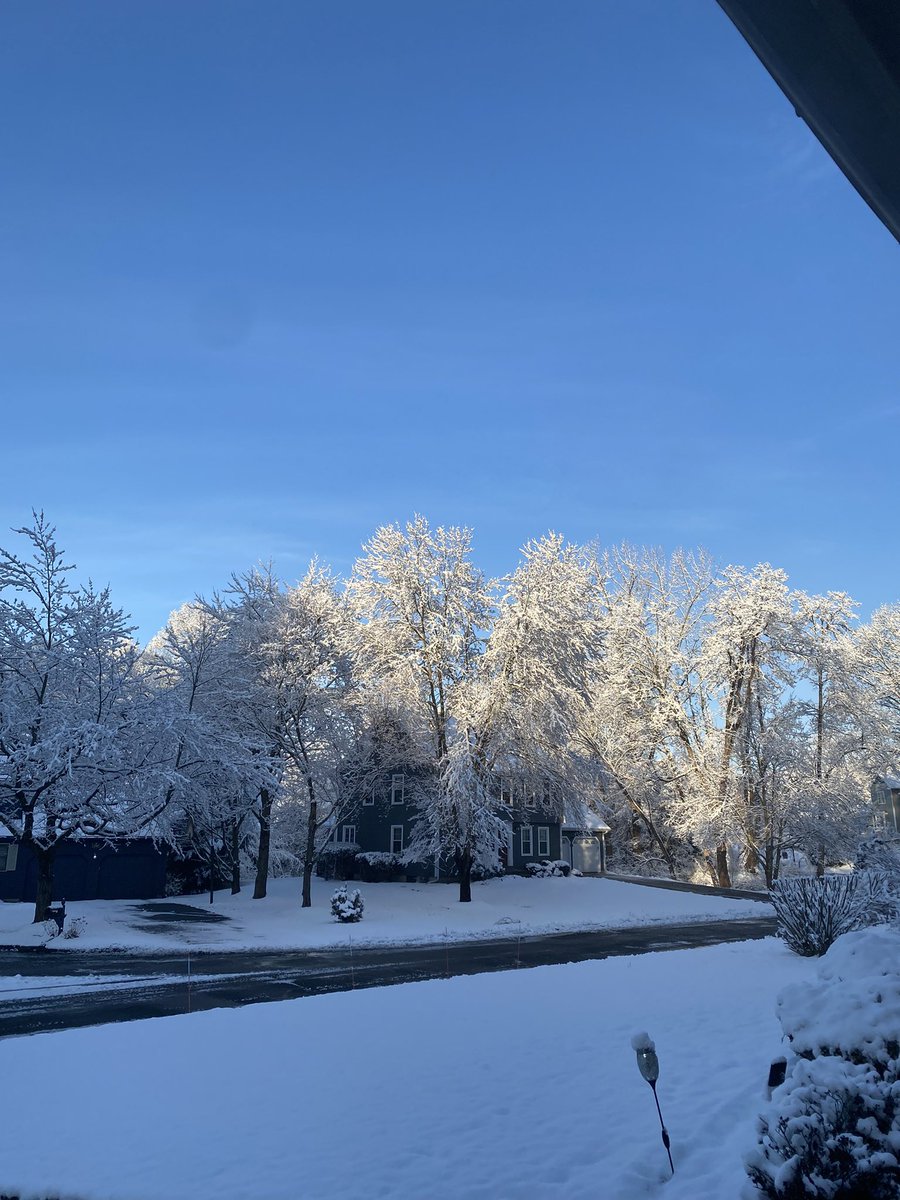 MrsKarlaCruz's tweet photo. Beautiful morning! It looks like a winter wonderland. #Windsor @bobmaxon @ryanhanrahan https://t.co/VFUDeY3gRs