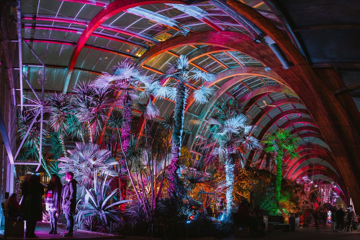 Illuminate The Gardens tweet media