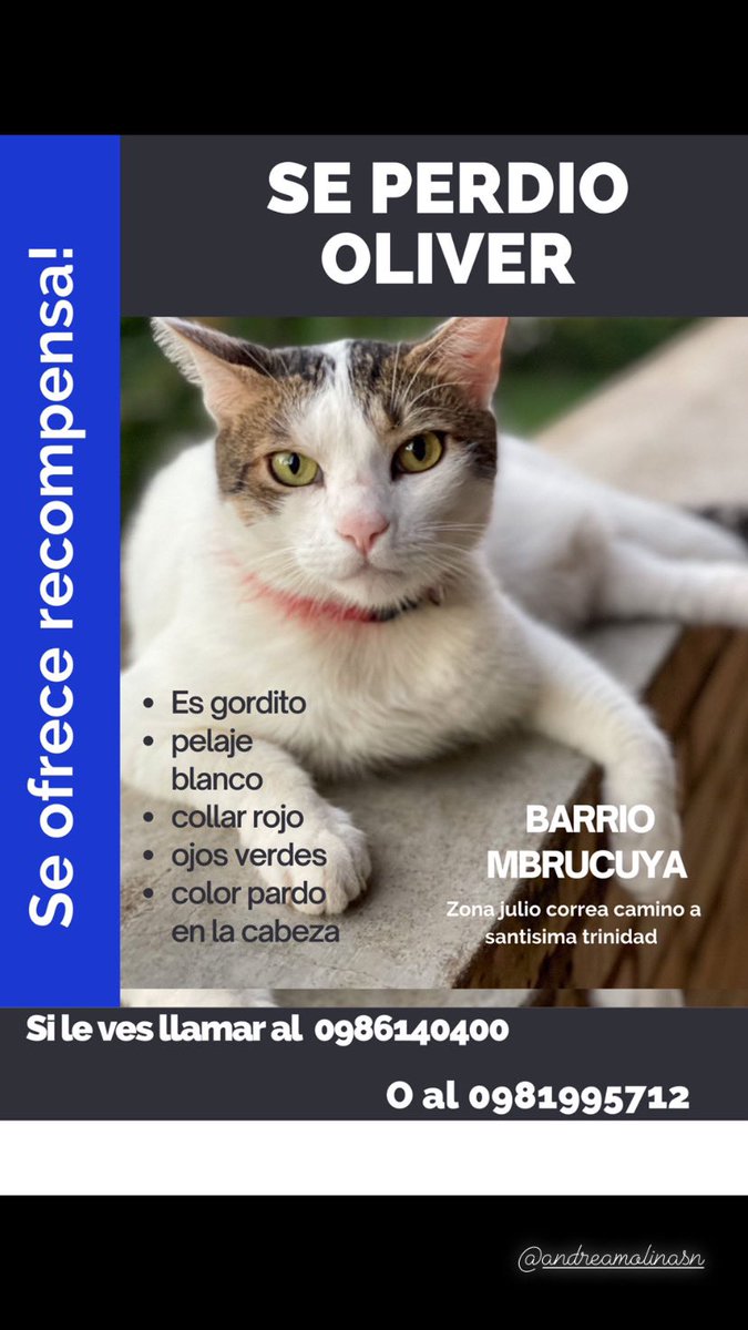 BritezManu's tweet photo. Por favor un rt para ayudarnos a encontrar al gordo !! ❤️🙏🏼 https://t.co/vuTKYxfv33