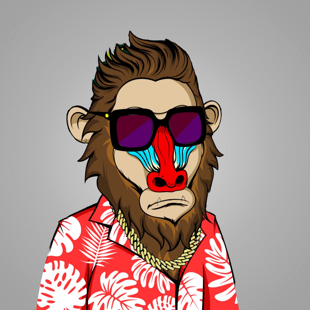 BoujeeBaboons's tweet photo. Meet Bruce the Baboon
“I dont know how to put this, but I’m kind of a big deal… People know me.” - Bruce
➡️ Join Bruce on our Discord - https://t.co/gRuVPX3oj1
#Crofam #CRO #Cronos #nftcreators #Nft #boujeebaboons https://t.co/f3pBHPs2rO