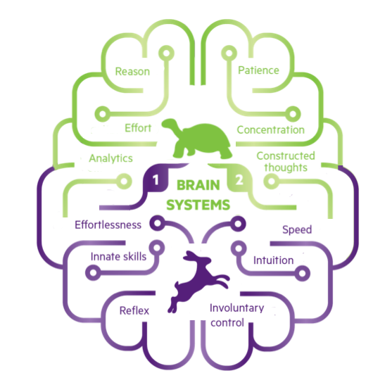 bsr_pauline's tweet photo. There are 2 systems of reasoning: 
▪️Experiential system (1): non conscious, automatic, based on emotions and effortless
▪️Analytic system (2): conscious, controlled, rational and effortful
They can interact and work together.

#NMKTRCH #MKTINGNEURO #XperientialMkt
@lets_NEUROmkt https://t.co/F7J8fdPdhS