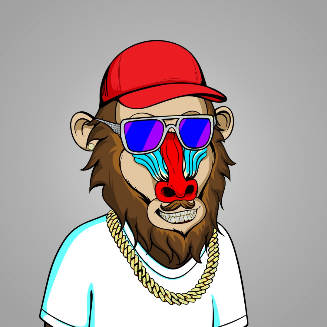BoujeeBaboons's tweet photo. Meet Ron the Baboon
“I’m very Important, I have many leather-bound books and my apartment smells of rich mahogany” - Ron
➡️ Join Ron at our Discord - https://t.co/gRuVPX3oj1
#Crofam #CRO #Cronos #nftcreators #Nft #boujeebaboons https://t.co/S5qvhB6q9r